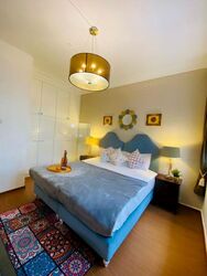 Emerald Hill Road (D9), Apartment #479749601